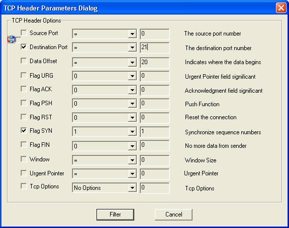 TCP Header Parametrs Dialog